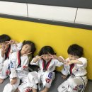 용인대경일태권도