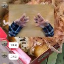 소막곡(소마곡) | 엑스디너리 히어로즈 뷰티풀마인드 서울콘 올출 후기