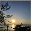 강릉힐링타임펜션 이미지