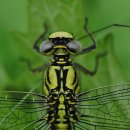 아산시청 이미지