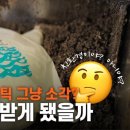 이너피스 이미지