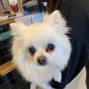 부천대명초등학교 이미지