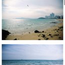 Homestay in Haeundae