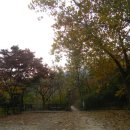 해맞이동산 이미지