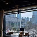 아롱`s 펫디저트 | 해운대중식코스요리 홍유단 장산역맛집 솔직후기