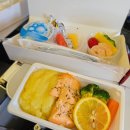 31140-4-76-7 | 아시아나 상하이 푸동 인천 OZ366 이코노미 기내식 유아식 저염식 베시넷 후기