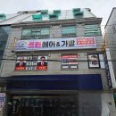 트윈위그