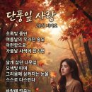 단풍잎 사랑 이미지