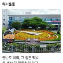 작지 이미지
