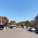 우포늪관광안내소 | 대구 근교 창녕 우포늪 관룡사 가볼만한곳 여행 당일치기