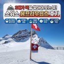 필독! 3대가 덕을 쌓아야 보는 뷰✨동신항운 VIP패스, 깃발 전망대 오픈 여부 확인법, 지옥의 고산병 후기