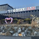 처인성로 | 용인 처인구 삼겹살 별난숙성돼지 방문 후기(단체 회식 추천)