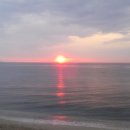 트로페아 이미지