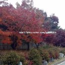 청학골숯불갈비 이미지