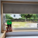 서윤의숲길 이미지