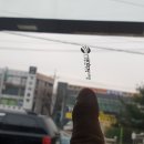80썬팅이야기