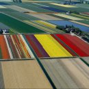 정화농장 이미지