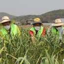 이석용농장 이미지