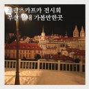 부산 실내 데이트 가볼만한곳 눈내리는 프란츠 카프카 서면 전시회 후기