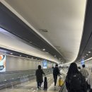 하늘보리피자 중곡점 | 제주 쏘카터미널 렌트 &amp; 김녕오라이 신제주점 포장 후기