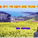 완도 청산도의 봄 이미지