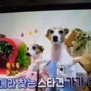 농협은행(주) 고객행복센터