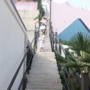 중앙동178 이미지