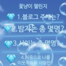 꽃냥이 이미지