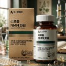엠엠엔 쇼핑하우