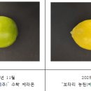 중앙특수제지(주) 교수신문