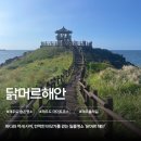신촌향사 | 가을제주여행 필수 코스, 제주 숨은 명소 닭머르해안