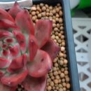 햇님슈퍼 이미지