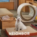 제주 스테이한강 이미지