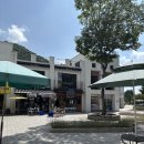 오생 | 담양 메타프로방스 디저트 맛집 쓕 후기 피스타치오, 인절미, 카카오생초콜릿 다 먹어본 솔직 리뷰!