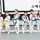 옥종태권도장 네이버블로그