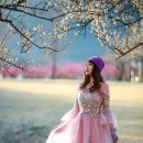 매화공원 이미지