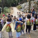 대청유치원 이미지