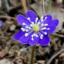 산골짜기 - 장성군 | 산골짜기