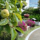 온라인팜스토어 이미지