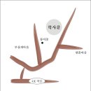 학령2 Daum카페