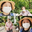 성화경로당 Daum카페