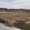 삽교읍041 이미지