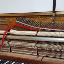 월영동303 이미지