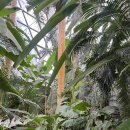 홍진 당구장 이미지