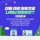 차이홍관광