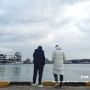 바다수산대게마트 | 바다 수산 대게 마트, 태하 회 대게(feat. 울진 대게 포장, 울진 수산물 시장, 죽변항)