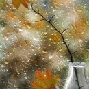 가을바람 이미지