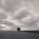 시인과촌장 이미지