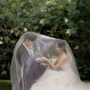 W-17 | W.17 사설보정업체 내돈내산 후기 (강픽스/ 로아뮤즈/ 라피포토)