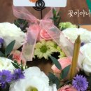 꽃이야 나무야 파주 이미지